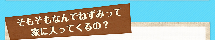 そもそもなんでねずみって家に入ってくるの？