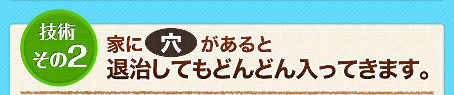 技術その2　家に穴があると退治してもどんどん入ってきます。
