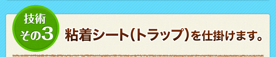 技術その3　粘着シート（トラップ）を仕掛けます。