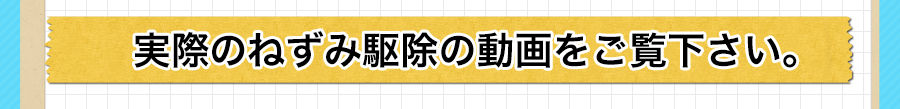 実際のねずみ駆除の動画をご覧下さい。