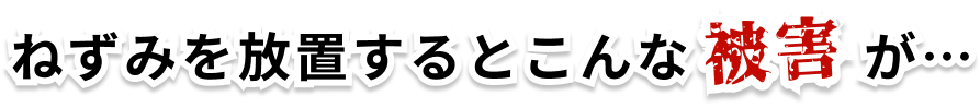 ねずみを放置するとこんな被害が・・・